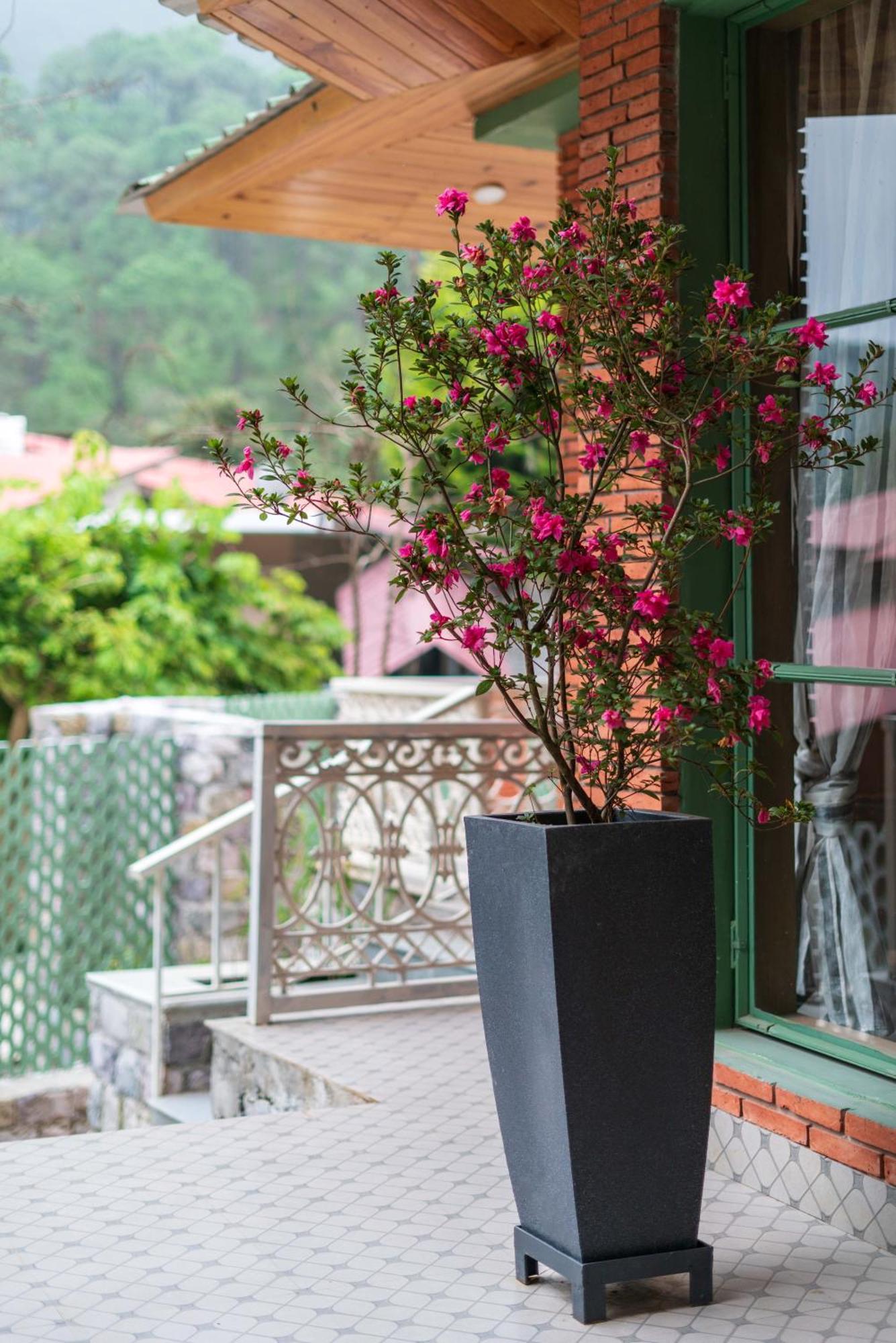 Casa Bhimtalヴィラ エクステリア 写真